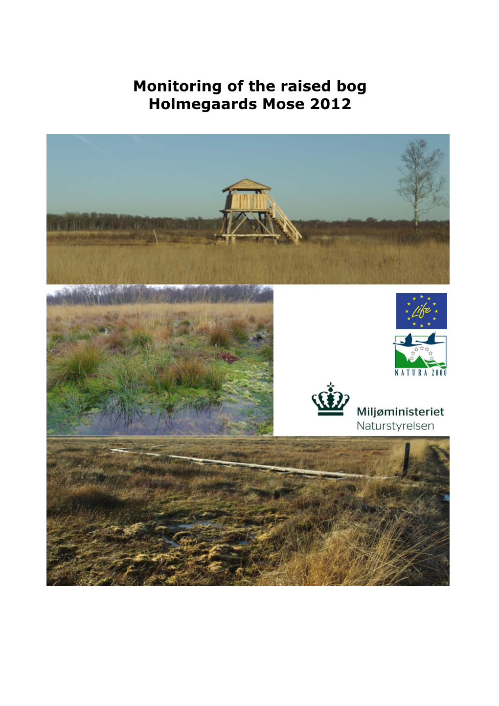 Monitoring of the Raised Bog Holmegaards Mose 2012