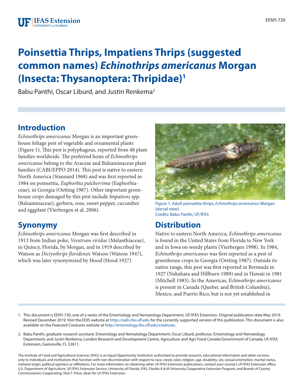 Echinothrips Americanus Morgan (Insecta: Thysanoptera: Thripidae)1 Babu Panthi, Oscar Liburd, and Justin Renkema2