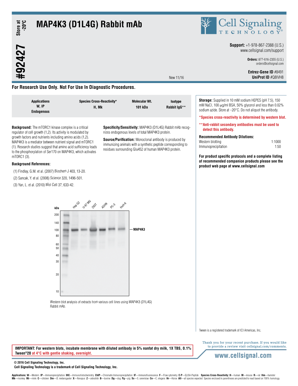 MAP4K3 (D1L4G) Rabbit Mab -20ºC Store At