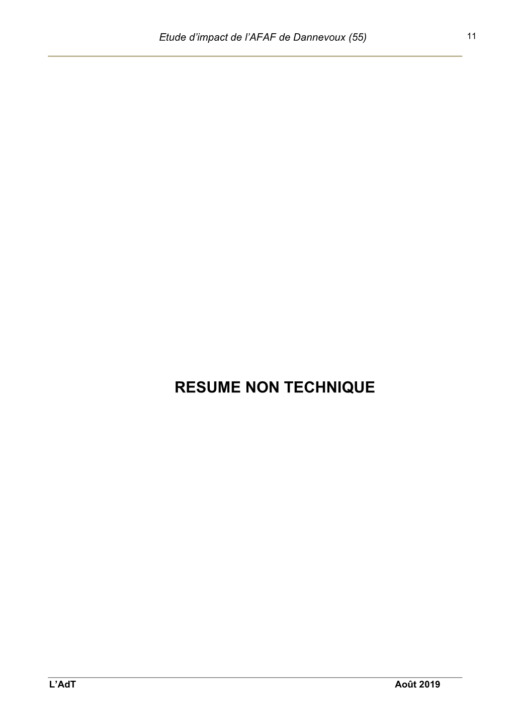 Resume Non Technique