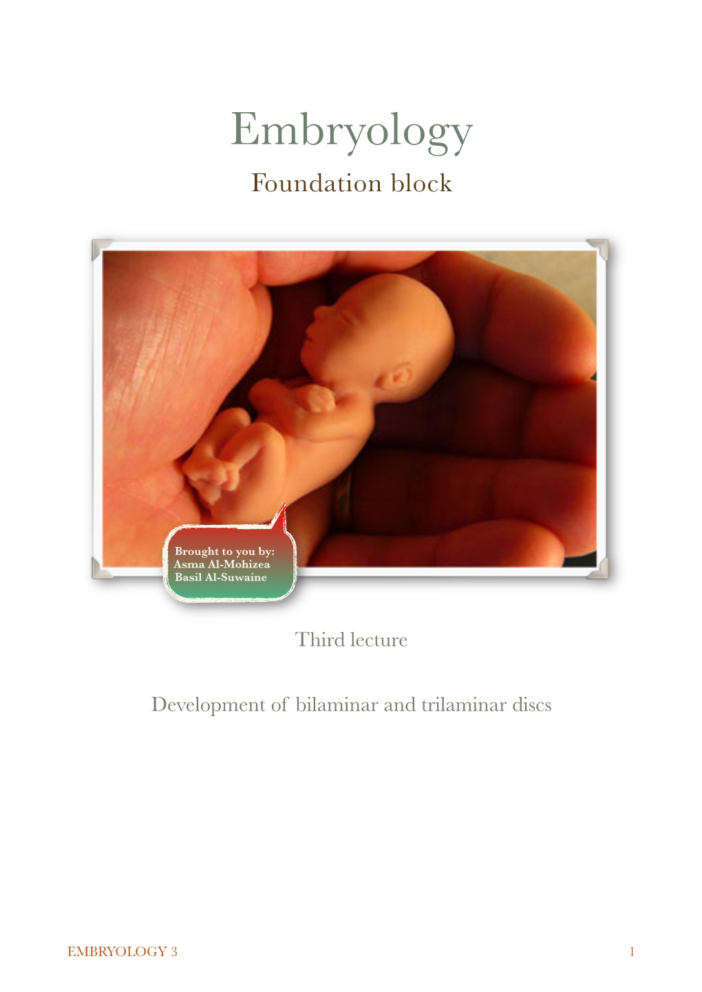 Bilaminar and Trilaminar Discs.Pdf