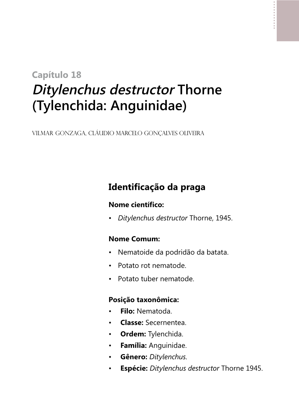 Ditylenchus Destructor Thorne (Tylenchida: Anguinidae)