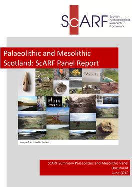 Palaeolithic and Mesolithic Scotland: Scarf Panel Report