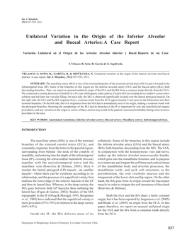 Unilateral Variation in the Origin of the Inferior Alveolar and Buccal Arteries: a Case Report