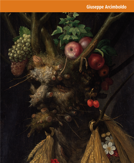 Giuseppe Arcimboldo “These Pictures Are All the More Amazing As Nobody Had Ever Created Anything Similar.” Gregorio Comanini, Il Figino, 1591