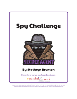 Spy Challenge