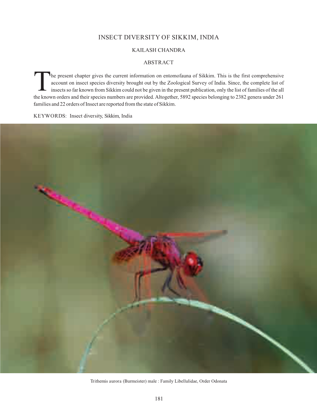 Insect Diversity of Sikkim, India