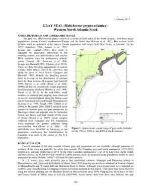 GRAY SEAL (Halichoerus Grypus Atlantica): Western North Atlantic Stock