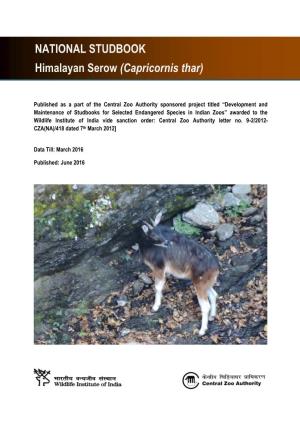 Himalayan Serow (Capricornis Thar)