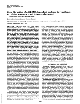 Gene Disruption of a G4-DNA-Dependent Nuclease In