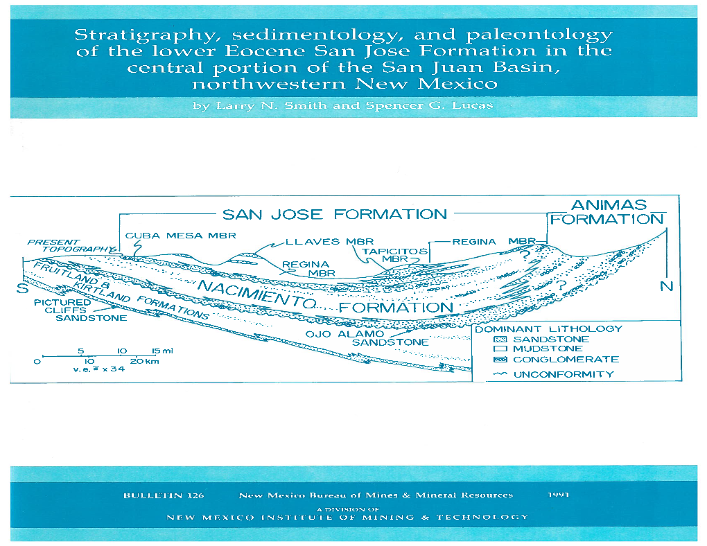 Stratigraphy, Sedimentology, and Paleontology of the Lower Eocene San Jose Formation in the Central Portion of the San Juan Basin, Northwestern New Mexico