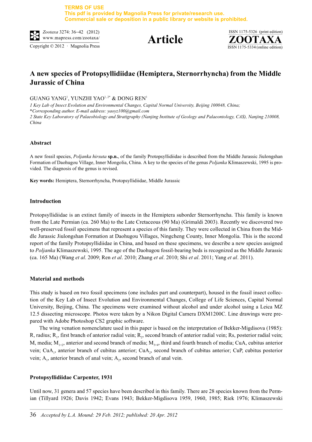 A New Species of Protopsyllidiidae (Hemiptera, Sternorrhyncha) from the Middle Jurassic of China