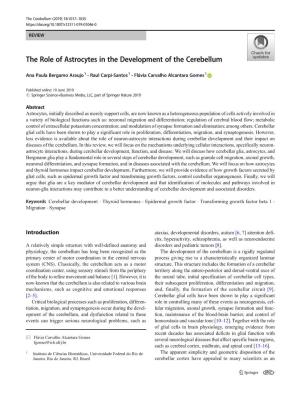 The Role of Astrocytes in the Development of the Cerebellum