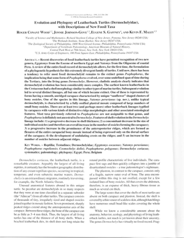 Evolution and Phylogeny of the Leatherback Turtles (Dermochelyidae)