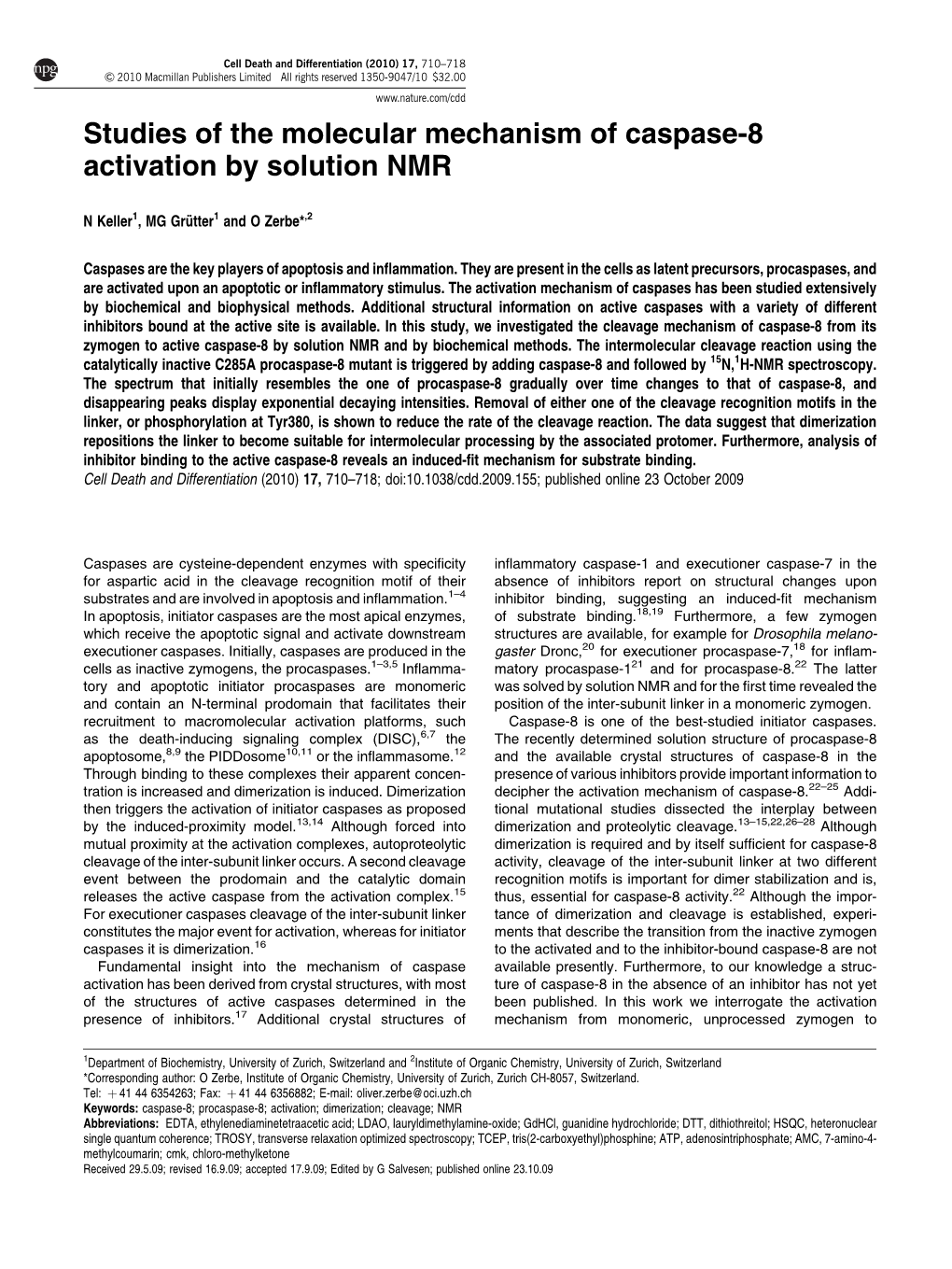 Studies of the Molecular Mechanism of Caspase-8 Activation by Solution NMR