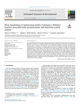 Wing Morphology in Featherwing Beetles (Coleoptera: Ptiliidae): Features Associated with Miniaturization and Functional Scaling Analysis