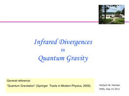 Infrared Divergences Quantum Gravity