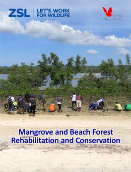 Mangrove and Beach Forest Rehabilitation and Conservation