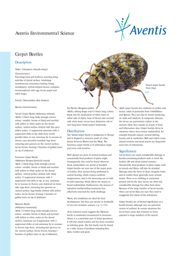 01 6050 Houseflies (Page 1)