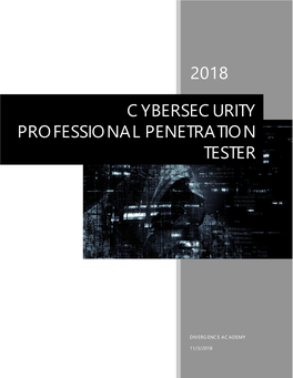 Cybersecurity Professional Penetration Tester