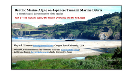 Benthic Marine Algae on Japanese Tsunami Marine Debris