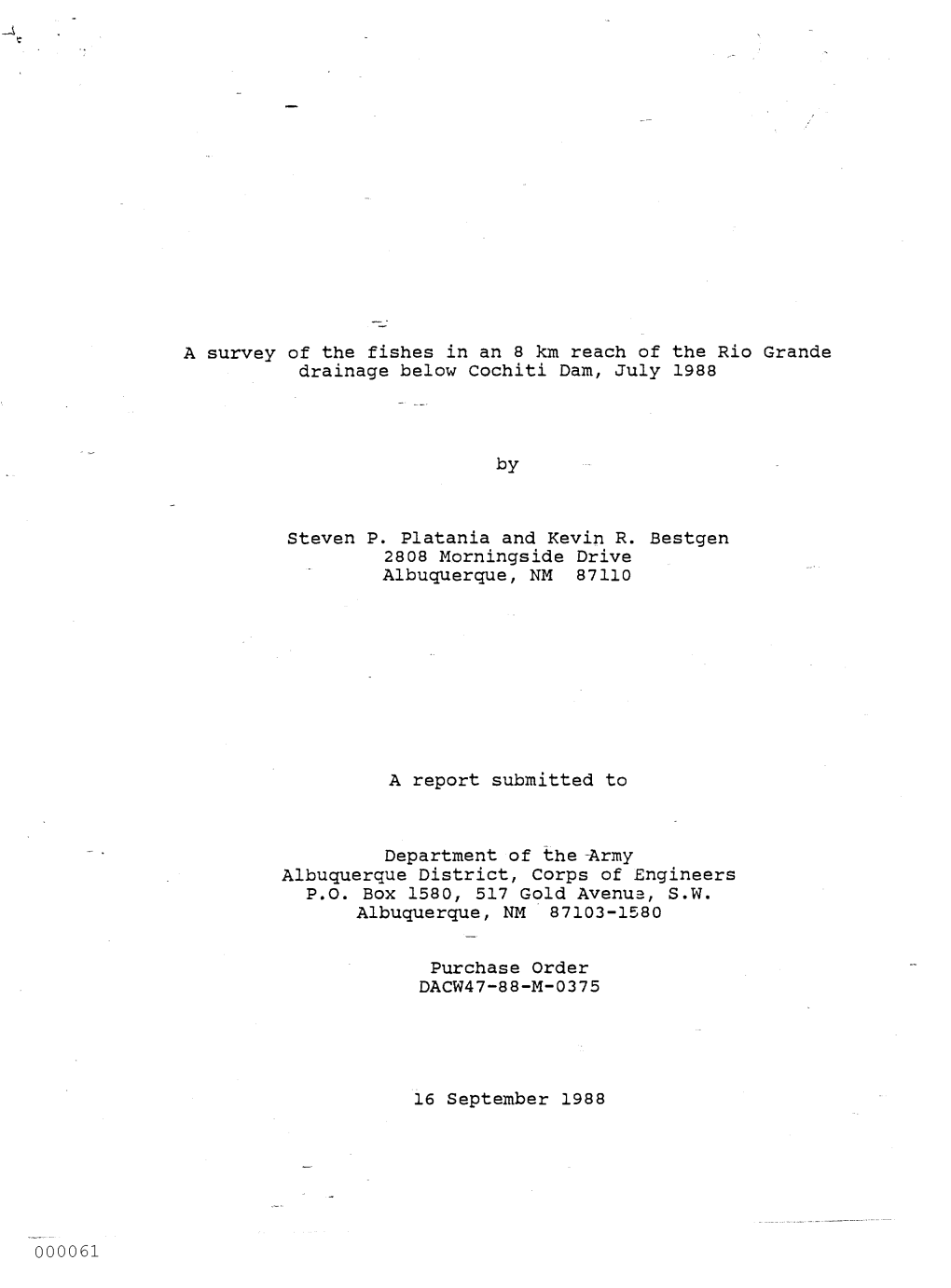 A Survey of the Fishes in an 8 Km Reach of the Rio Grande Drainage Below Cochiti Dam, July 1988