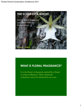 Orchid Floral Fragrances and Their Niche in Conservation