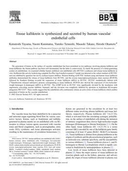 Tissue Kallikrein Is Synthesized and Secreted by Human Vascular Endothelial Cells