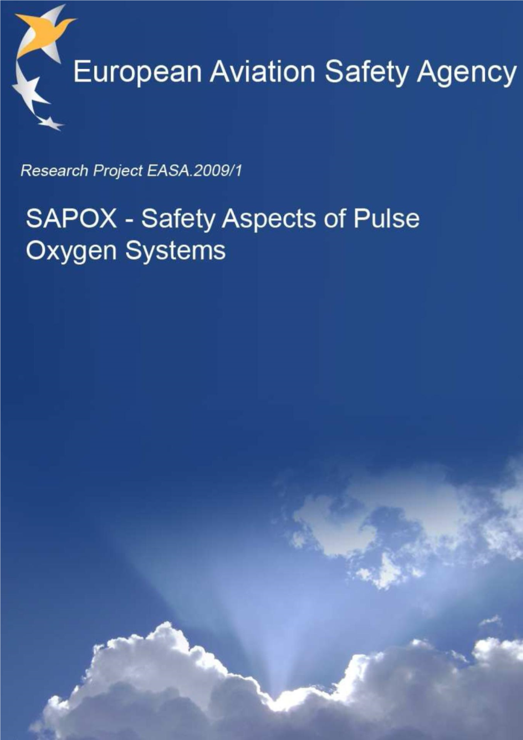Easa 2009.Op.23 Sapox Study Report ------4Ret0706a – Issue 6