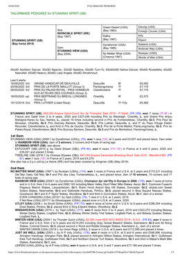 TAILORMADE PEDIGREE for STUNNING SPIRIT (GB)
