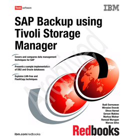 SAP Backup Using Tivoli Storage Manager