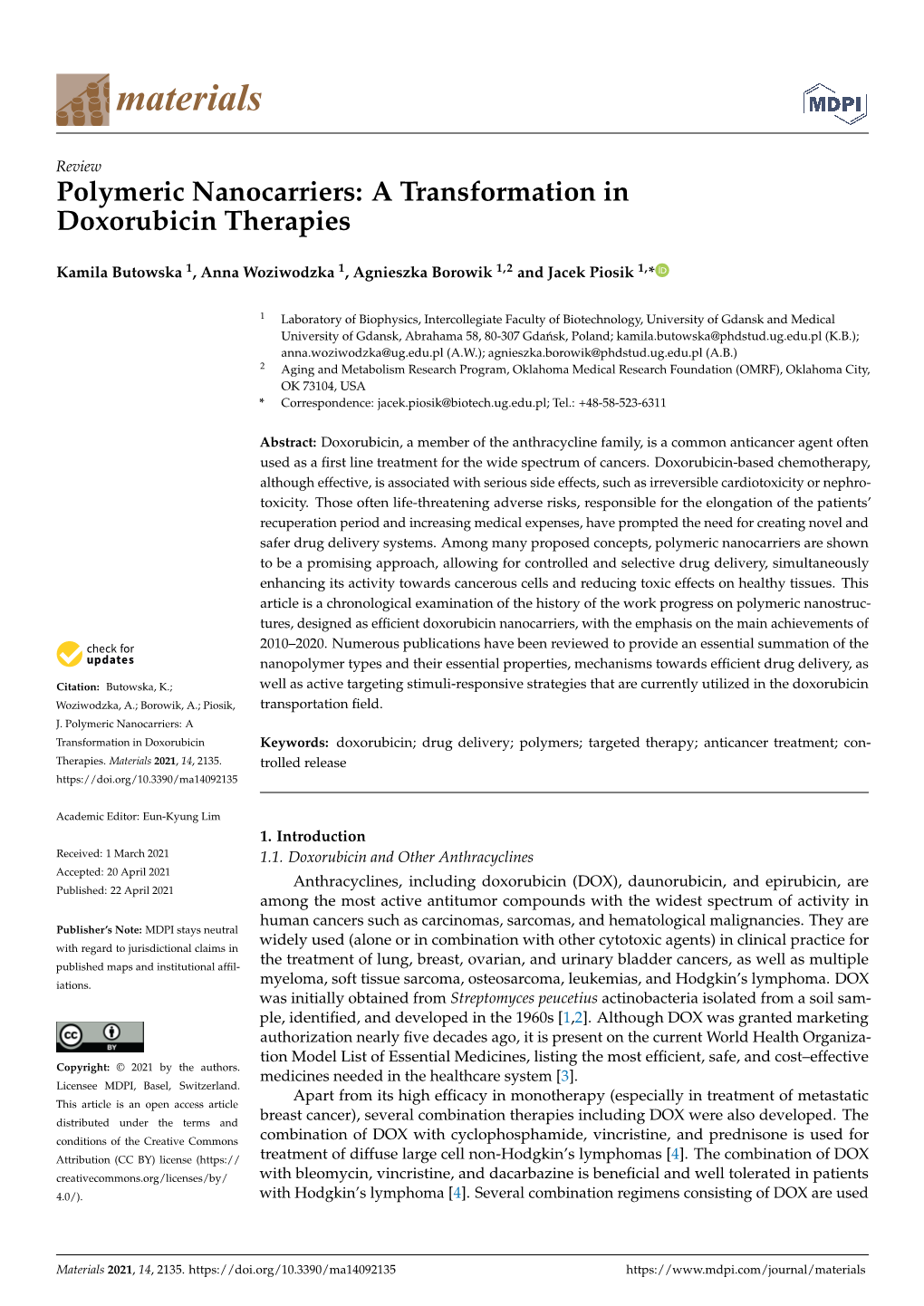 Polymeric Nanocarriers: a Transformation in Doxorubicin Therapies