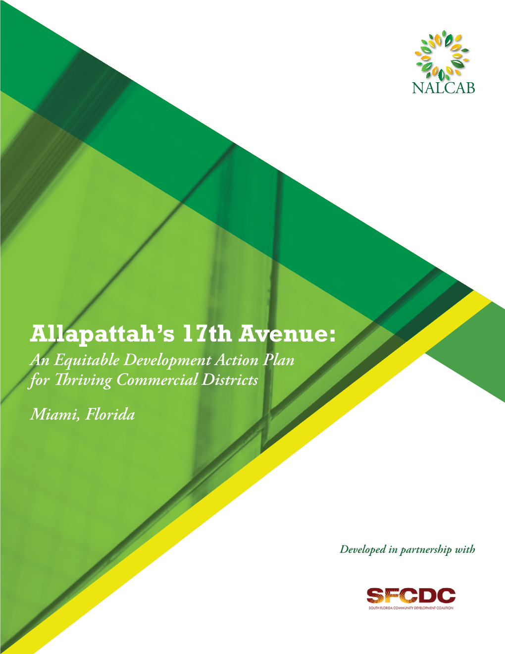 Allapattah's 17Th Avenue