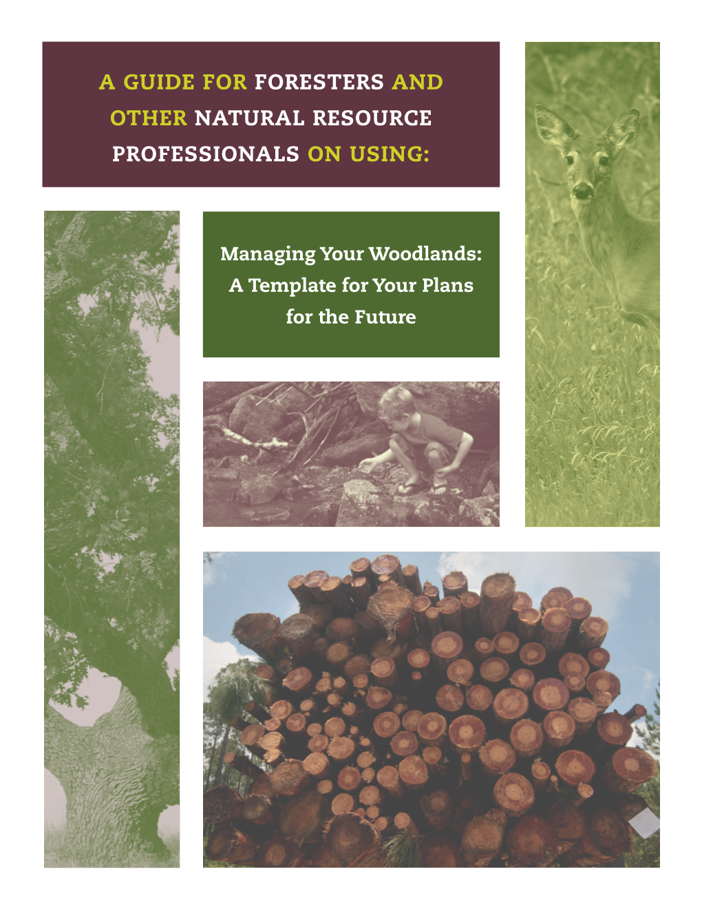 A Guide for Foresters and Other Natural Resource Professionals on Using