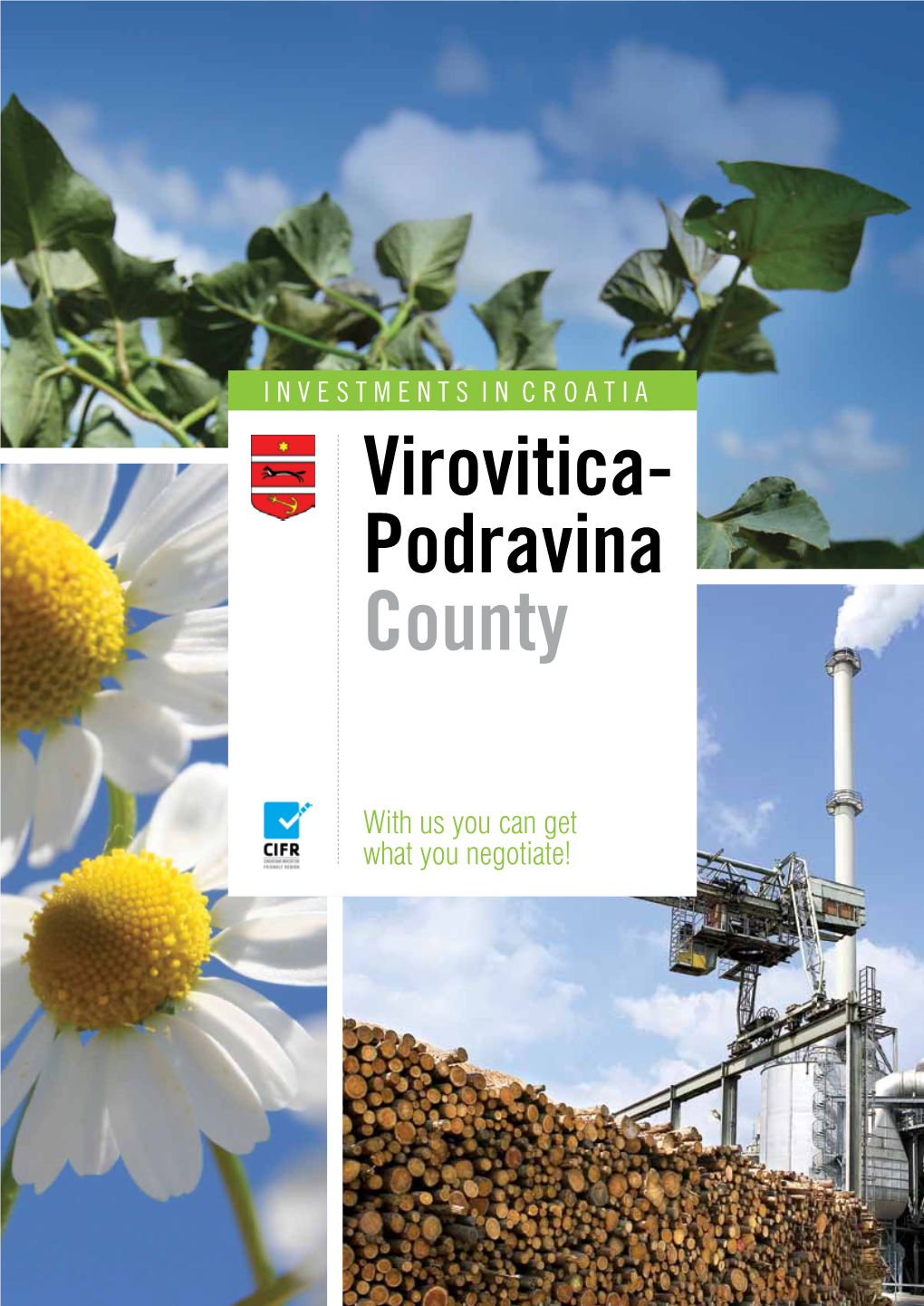 Virovitica- Podravina County