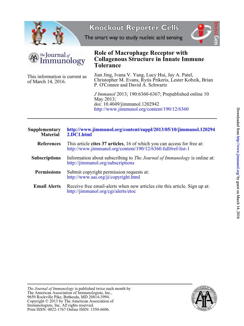 Tolerance Collagenous Structure in Innate Immune Role of Macrophage