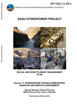 Dasu Hydropower Project