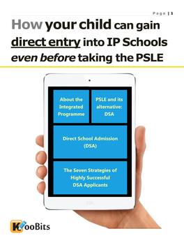Chapter 1: the Integrated Programme (IP)