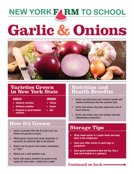 Garlic & Onions Newsletter (Pdf; 846KB)