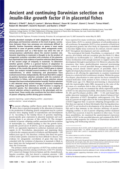 Ancient and Continuing Darwinian Selection on Insulin-Like Growth Factor II in Placental Fishes