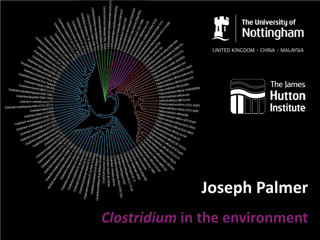 Joseph Palmer Clostridium in the Environment What Is Clostridium?