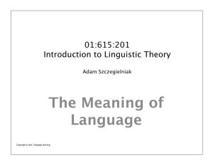 The Meaning of Language