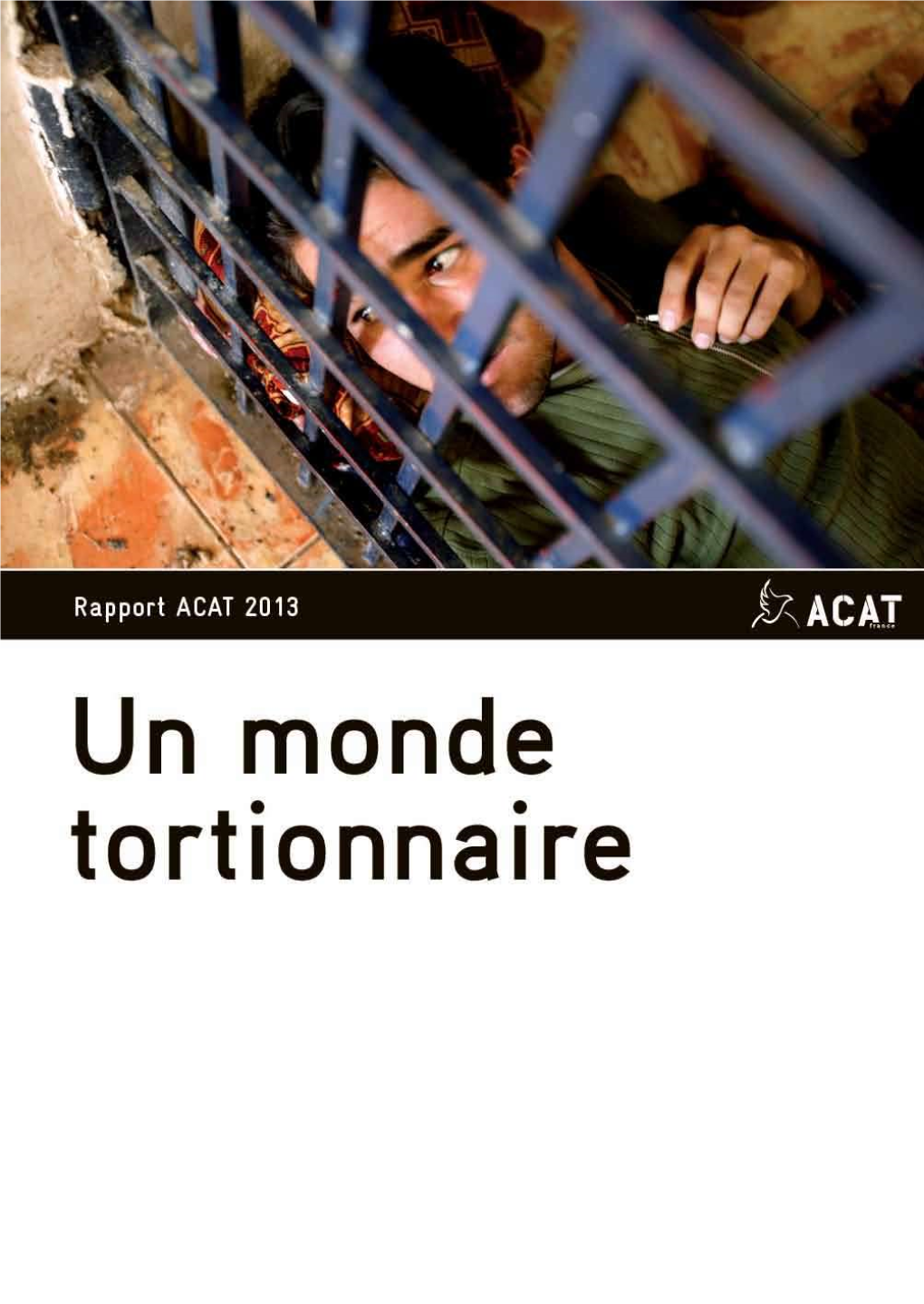 Rapport Un Monde Tortionnaire 2013