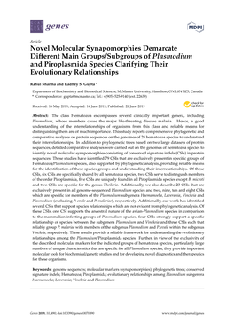 Novel Molecular Synapomorphies Demarcate Different Main Groups