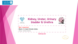 Kidney, Ureter, Urinary Bladder & Urethra