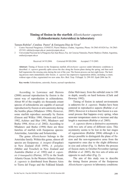 Timing of Fission in the Starfish Allostichaster Capensis (Echinodermata:Asteroidea) in Laboratory