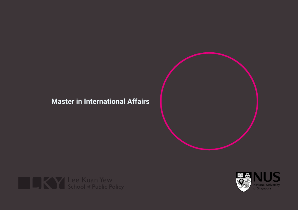 Master in International Affairs