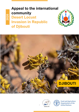 Appeal to the International Community Desert Locust Invasion in Republic