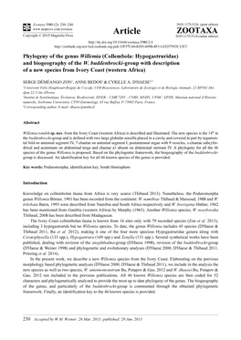 Phylogeny of the Genus Willemia (Collembola: Hypogastruridae) and Biogeography of the W