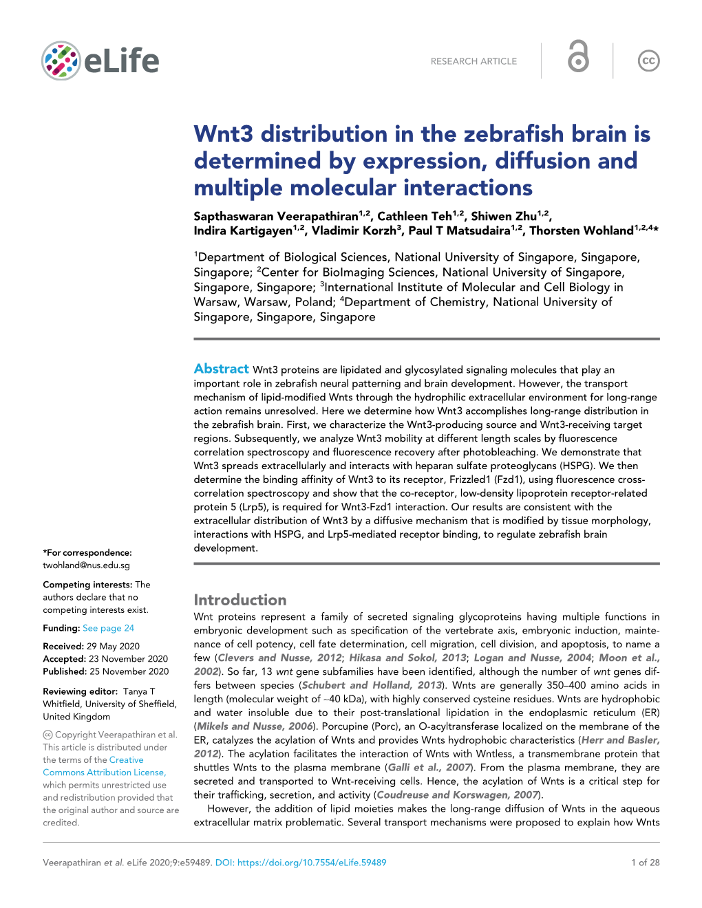 Wnt3 Distribution in the Zebrafish Brain Is Determined by Expression